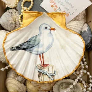 seagull painted scallop